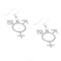 Örhängen Trans Symbol Pride...