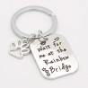 Nyckelring Katt Hund Minnessmycke Tass Rainbow Bridge