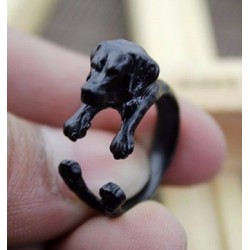 Ring Labrador Svart Hund Djur Animal Ring