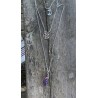 Halsband Ametist Pentagram Måne 3 i 1 Layered Wicca Rostfri 