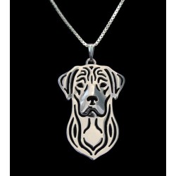 Halsband Labrador Golden Retriver Hund Djurälskare Dog Hundras